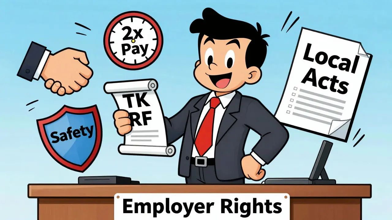 Права и обязанности работодателя по ТК РФ: что обязательно нужно знать